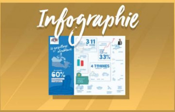 Infographie : Gaspillage Alimentaire